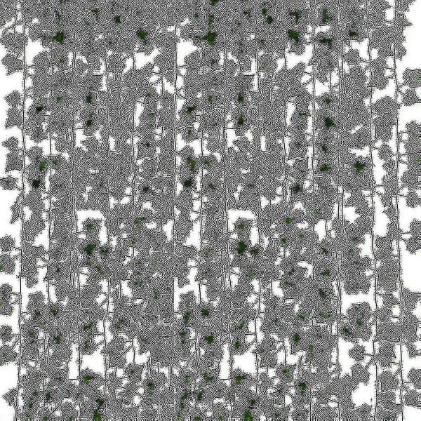 Dearhouse Artificial Ivy Leaf Garlands Hanging Garland 12 Strings