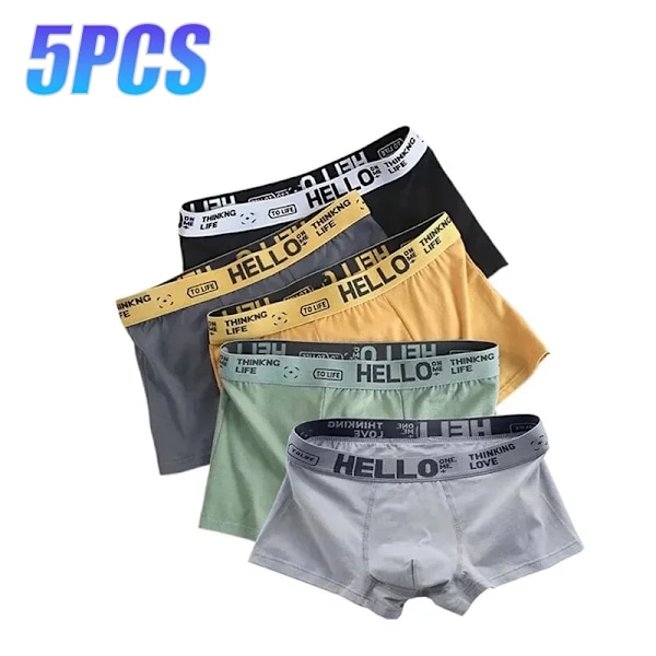 5 st Herrkalsonger Man Boxer Sexiga Underbyxor Bekväma Andningsbara Mode Pojkar Trosor Underkläder Boxershorts Män Svart XXL-65-75kg