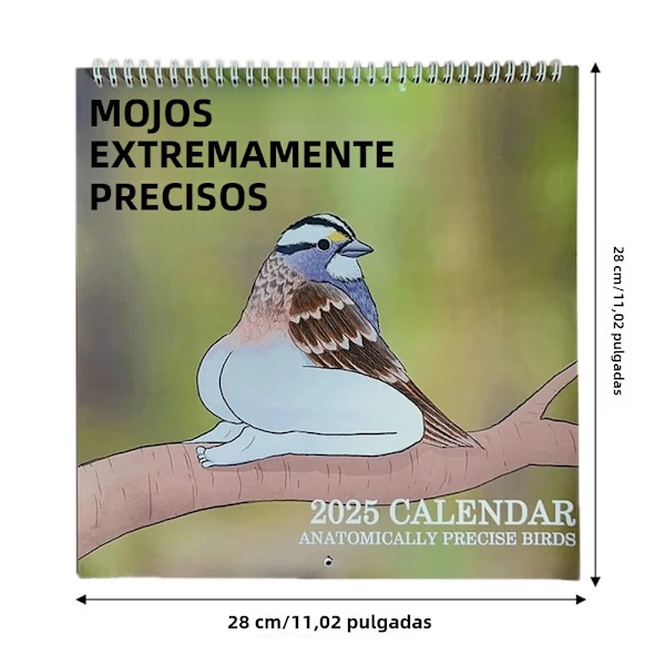2025 Fuglekalender - Sjov og Kreativ til Væggen og Skrivebordet med Abstrakt Mønster - Nem at Installere Bird Calendar