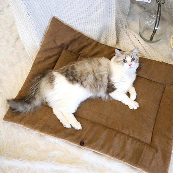 Varm tykk katteseng multifunksjonell sammenleggbar kjæledyrmatte for katter liten innendørs kattungeseng kattesovematte, B Light Grey