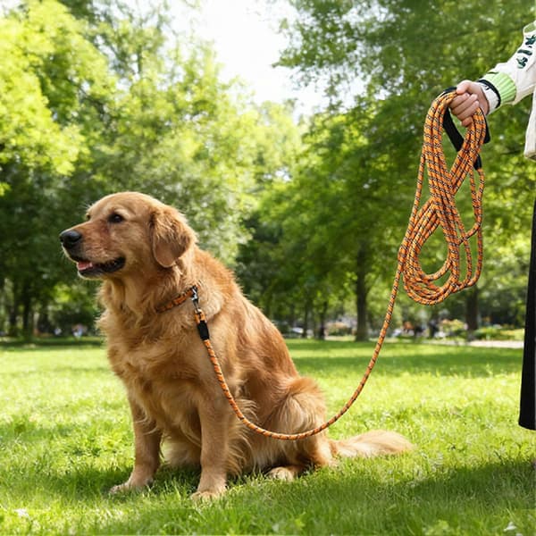 Kraftig hundesnor - Reflekterende og elastisk dæmpning - til store hunde udendørs træning - Lang