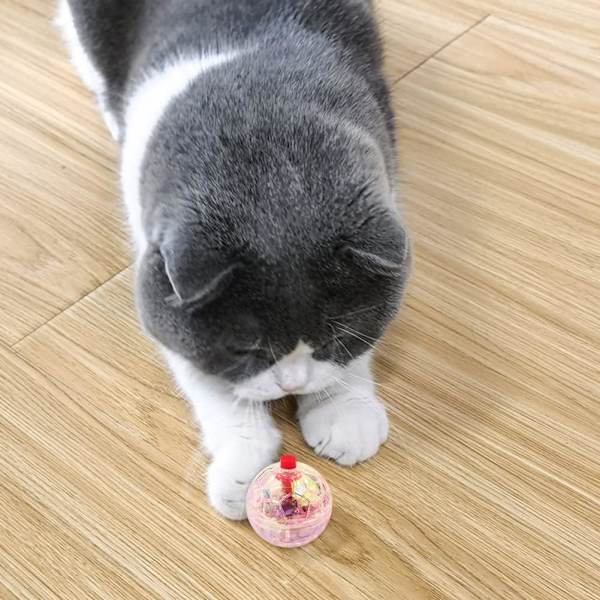 5 stycken spökjakt kattboll rörelsebollar paranormal utrustning hundbollar interaktiv katt leksak husdjur leksaker för inomhuskatter underhållningsleksak