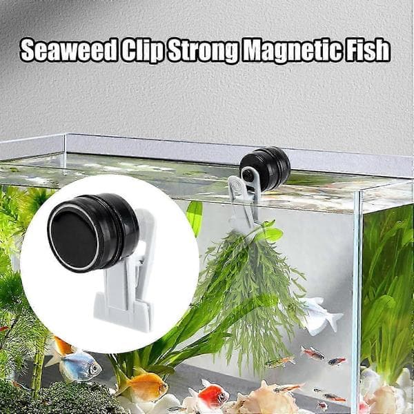 Magnetisk tangmater for akvarier
