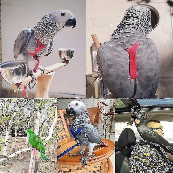 Papegoja fågelsele koppel utomhus flygande dragband Band Justerbart anti-bett träningsrep