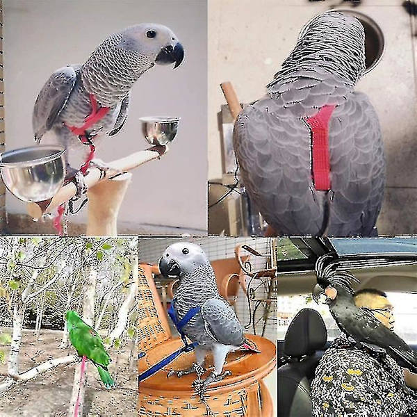 Papegøye sele med bånd for utendørs flyging, justerbar anti-bite treningsreim