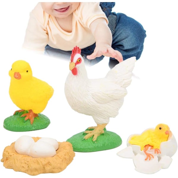 Højsimulerende dyrelivscyklusmodel 4-delt dyrelæringsmodel Pædagogisk legetøj til småbørn (kyllingelivscyklus)