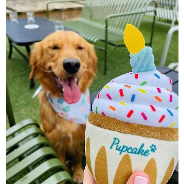 Hundleksak för Födelsedag - Valptårta Valp Cupcake Plysch Pip Och Knister Present