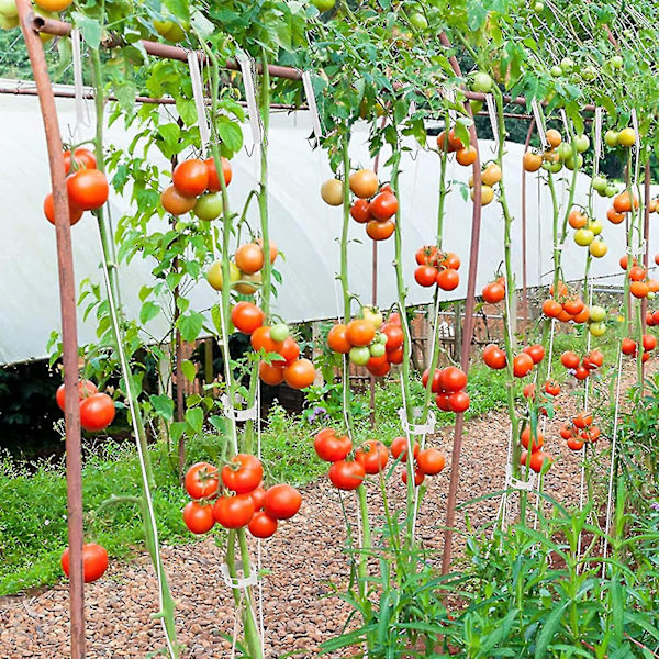 Tomatställningskrokar, Tomat J-ställ, 12 stycken Tomatrepkrokar med 10m Rep, Tomatkrok, Tomatklämmor.