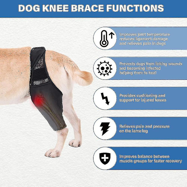 Hundeknebøjle, Hundebenbøjle Hofteunderstøttende Bøjle Til Korsbåndsskader, Ccl, Patellasubluksation Eller Osteoporose Hbu 2024-Ny