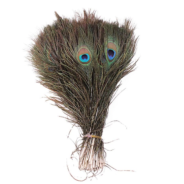 10 stk Naturlige Ægte Påfugl Haleøjnefjer DIY Håndværk 23-30cm/10-12 tommer Julepynt