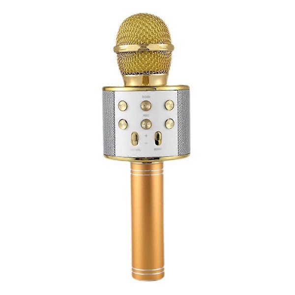 Ammattimainen Langaton USB-Kaiutinmikrofoni Käyttöön Lapsille Musiikkisoittimelle Laululle Tallennukseen KTV