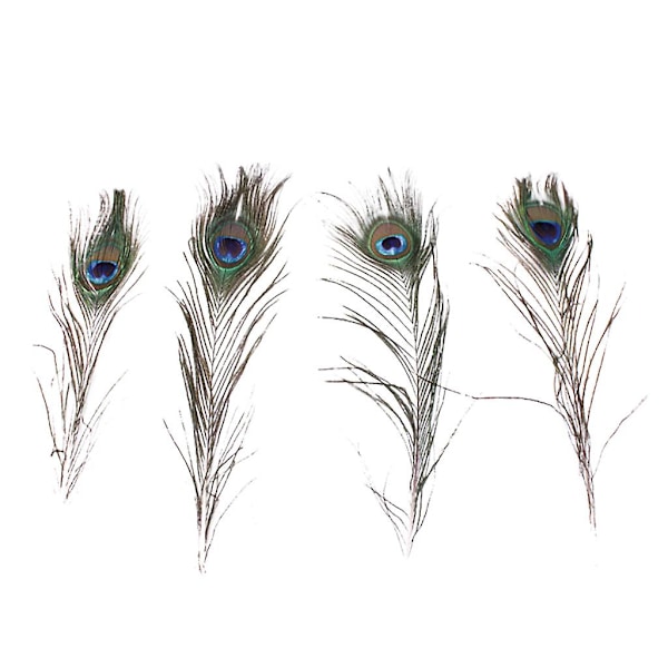 10 stk Naturlige Ægte Påfugl Haleøjnefjer DIY Håndværk 23-30cm/10-12 tommer Julepynt