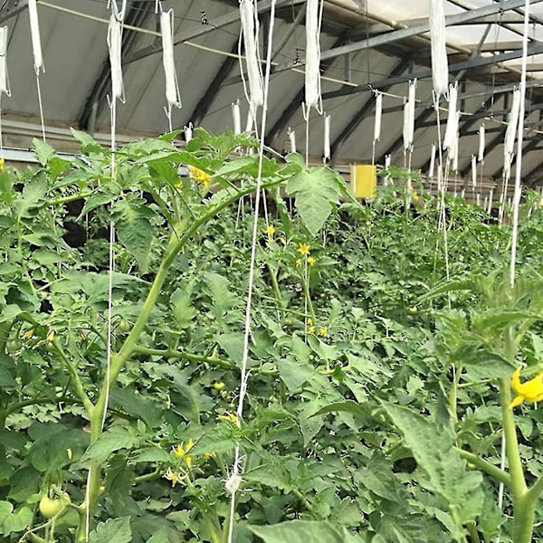 Tomatställningskrokar, Tomat J-ställ, 12 stycken Tomatrepkrokar med 10m Rep, Tomatkrok, Tomatklämmor.