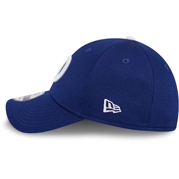 New Era 39Thirty Caps - BATTING PRACTICE Los Angeles Dodgers