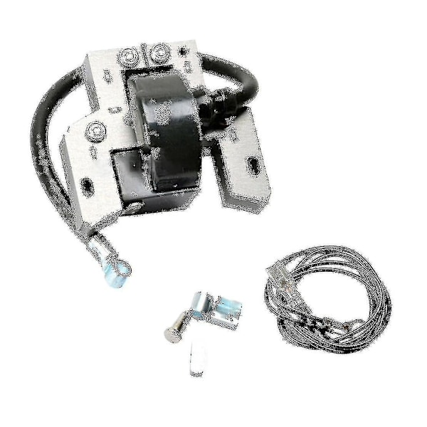 Tändspole för Briggs Stratton 591420 398593 496914 793281 792395 - F