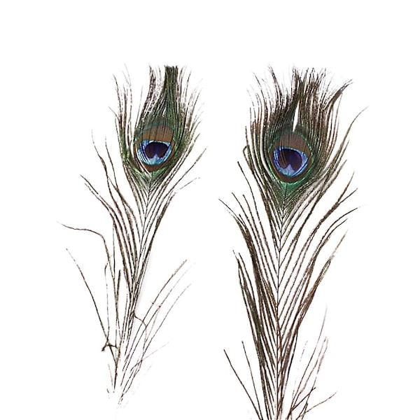 10 stk Naturlige Ægte Påfugl Haleøjnefjer DIY Håndværk 23-30cm/10-12 tommer Julepynt