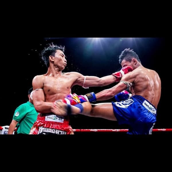 Korte Thai Bokse - Traditionel - Gul - Størrelser Børn og Voksne - 100% Satin Polyester Gul XS
