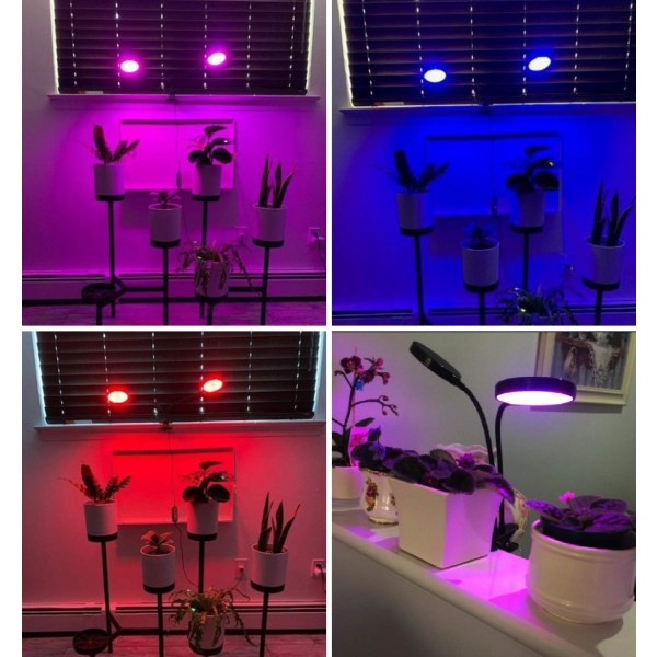 Lampe de Plante,BR-Vie Plante Lampe LED Horticole Croissance, 2 Têtes 360°  fullt spektrum växande ljus hälla Semis, Succulentes Sunmostar a997