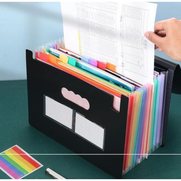 Expanderande filmapp, 25-ficks Accordian- organizer