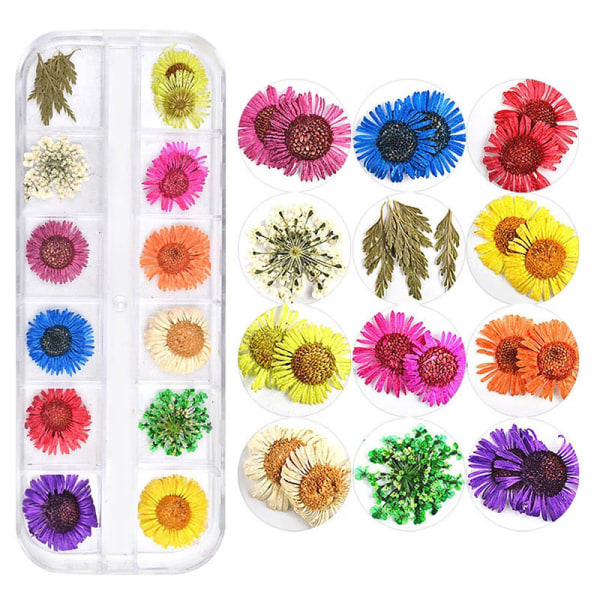 Torkade blommor för naglar och hartssmycken 12 st 3d Nail Art Stickers Dekoration - Manikyr Dekoration Sunmostar