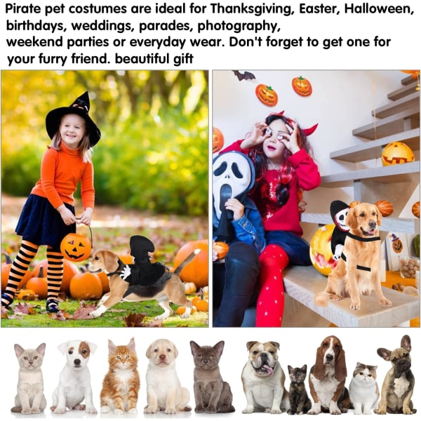 Husdjurs-Halloween-dräkt, Hund-Halloween-kläder, Rolig Hund-dräkt, Halloween-dräkt för hundkatter, för Halloween Fiesta, temaevenemang Celebrati Sunmostar