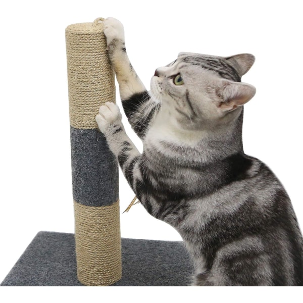 Le tremplin pour chat du cadre d'escalade pour chat est résistant aux rayures, associé aux jouets préférés du chat pour satisfaire la curios Sunmostar