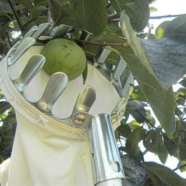 Fruktplockare Metall Teleskopisk Handtagslös Fruktplockare Äppelplockare Fruktplockare Fruktplockare med cap Sunmostar