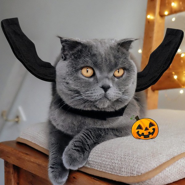 Kostym för barn, Halloween kostym för katt - Fladdermusvingar - För små  hundar och katter - Storlek S Sunmostar ba08 | Fyndiq