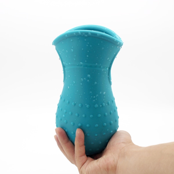 2 i 1 bärbar silikonborste för djurskötsel - perfekt för aktiva hundar eller regniga dagar (blå) tasstvätt, Versailles