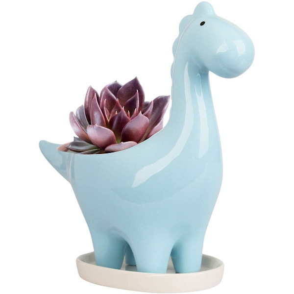 Keramisk Suckulentkruka Med Fat, Dinosaurieformad Kaktusblomkruka, Mini Inomhus Växtkruka Present Dekoration Blå