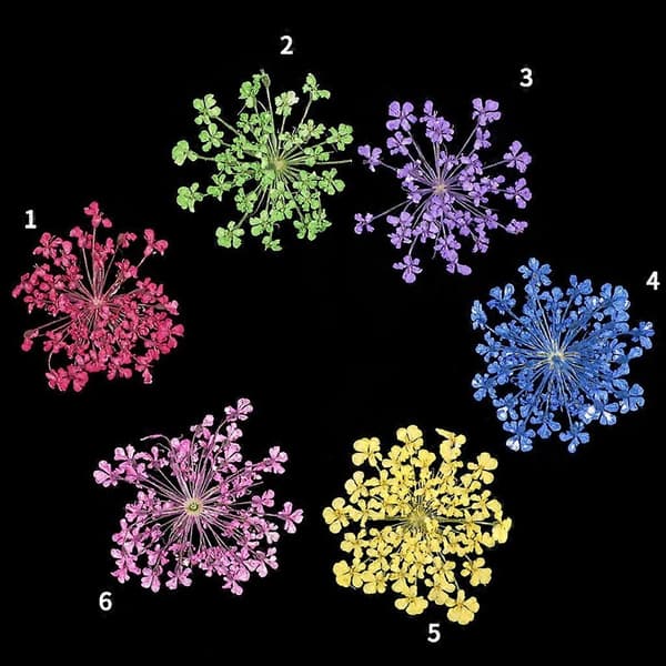 24 stk./sæt små tørrede blomster UV-harpiksdekorationer neglekunst epoxy-fyld