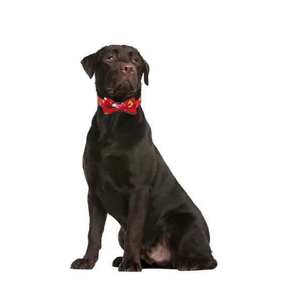 Julehalsbånd til hunde med slips, justerbart og holdbart (størrelse L)