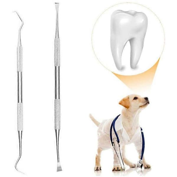 Professionel hundetandrenser og skraber, tandstensfjerner