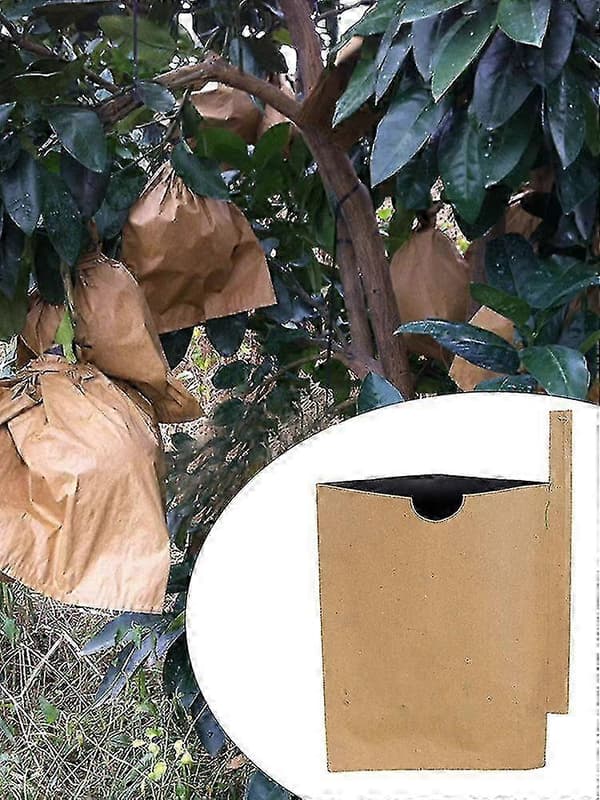 100-pack fruktpåsar av pappersmassa för trädgårdsväxter, fruktpåsar 180mm*220mm