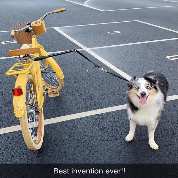 Handfritt hundkoppel för cykel, nyaste modellen, hög prestanda