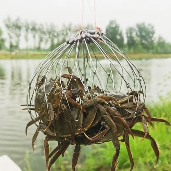 Fisknätbur Automatisk Öppning Stängning Fisk Krabbfälla Stål P2