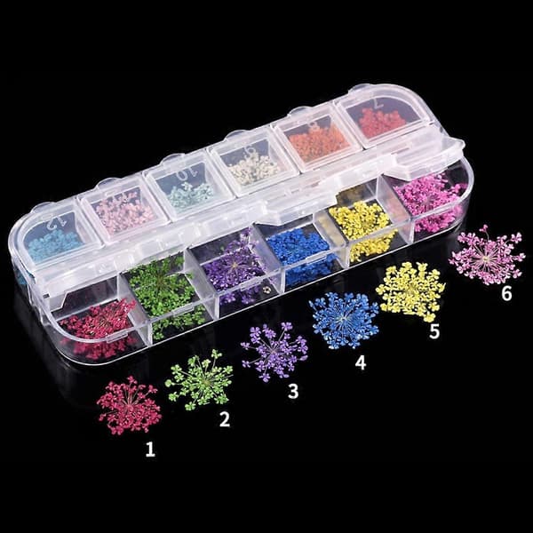 24 stk./sæt små tørrede blomster UV-harpiksdekorationer neglekunst epoxy-fyld