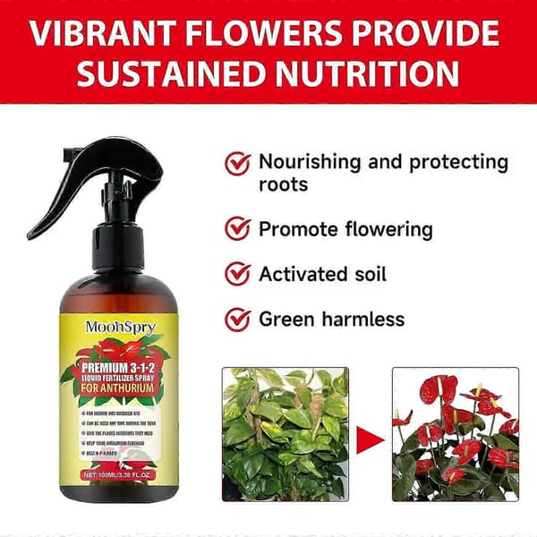 Profesjonell Anthurium Spray Tåke Gjødsel Tåke Konsentrat for Sunne Blader
