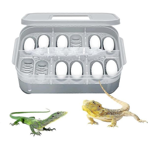Reptilödla Gecko Orm 12 Fack Äggkläckeri Avelslåda Inkubator