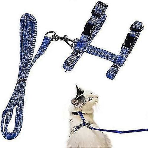 Kattsele med koppel