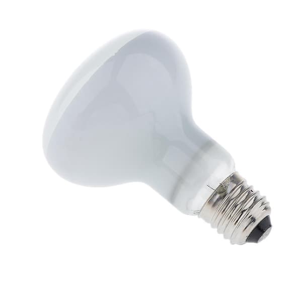 2 stk. krybdyr UVA sollampe varmelampe til krybdyr og padder 220V