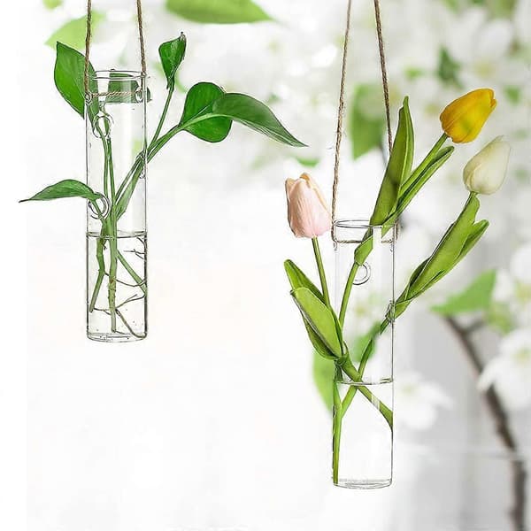 Hängande provrörs-terrarium i glas för växtförökning