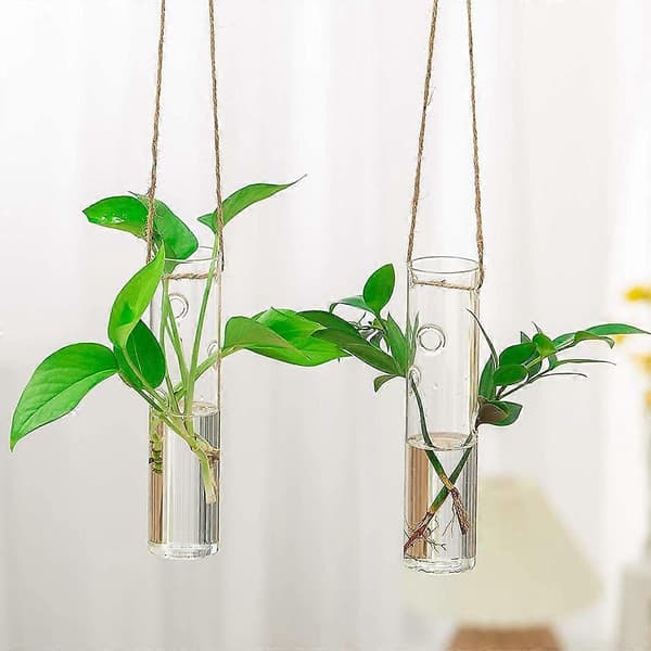 Hængende glas-terrarium med reagensglas til planteformering