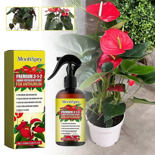 Profesjonell Anthurium Spray Tåke Gjødsel Tåke Konsentrat for Sunne Blader