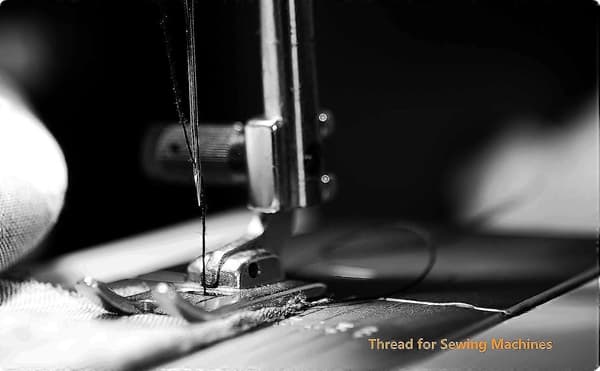 Universaltråd Polyester 3 Hvid 3 Sort, 365 Meter Hver Med 16 Nåle Til Håndsyning, Og Tråd Til Quiltning, Lapning, Symaskiner