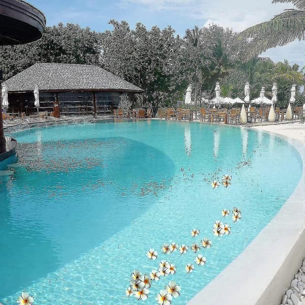 20 stk. vandflydende frangipani til poolindretning (hvid)