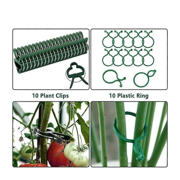 6-pack 40 cm växtstöd, trädgårdsväxtstöd, enkelstammigt växtstöd för amaryllis, orkidé