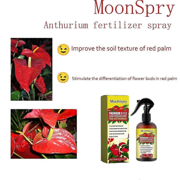 Profesjonell Anthurium Spray Tåke Gjødsel Tåke Konsentrat for Sunne Blader