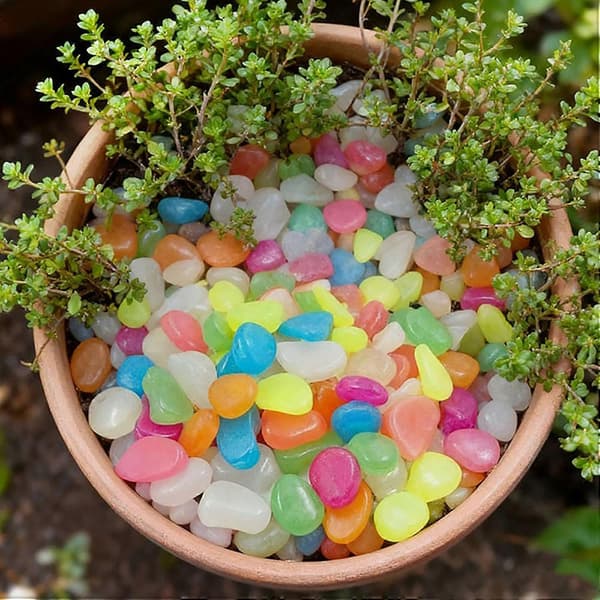 Flerfarvede selvlysende havekieselsten Vandtætte lysende harpikssten til havestier, akvarium DIY landskabsindretning Blue 1000pcs
