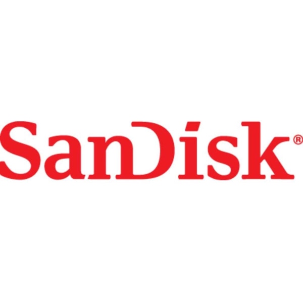SanDisk Extreme 32 GB SDXC UHS-I klass 10